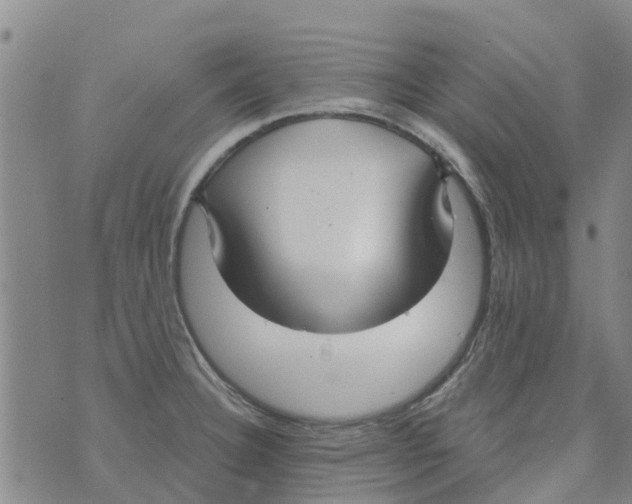 X0000073931332200609082253