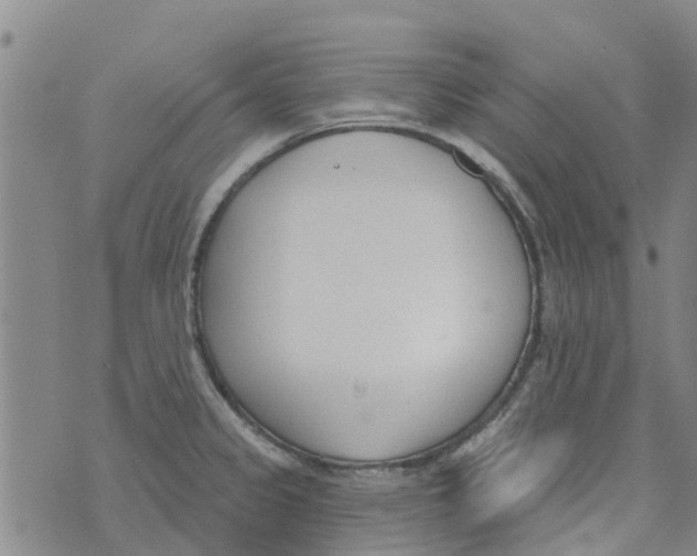 X0000073931333200609082253