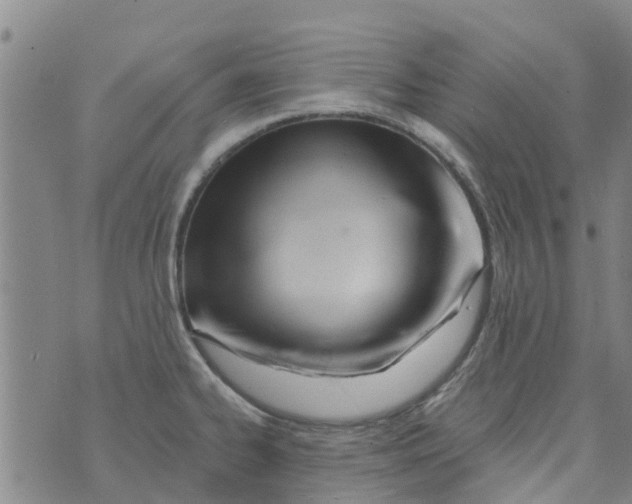 X0000073931334200609082253