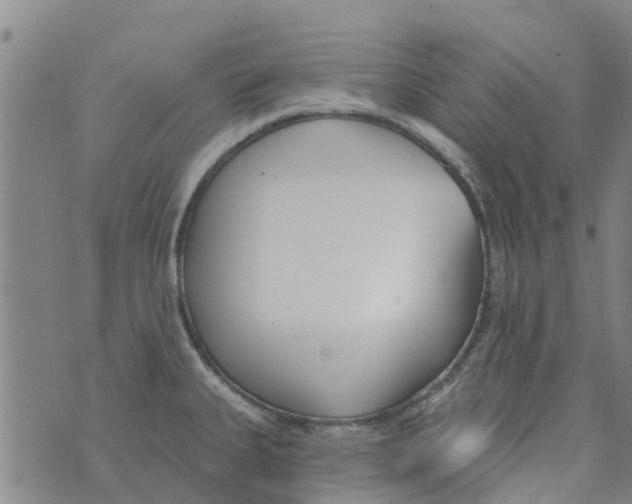 X0000073931335200609082253