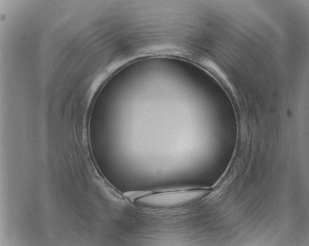 X0000073931336200609082253