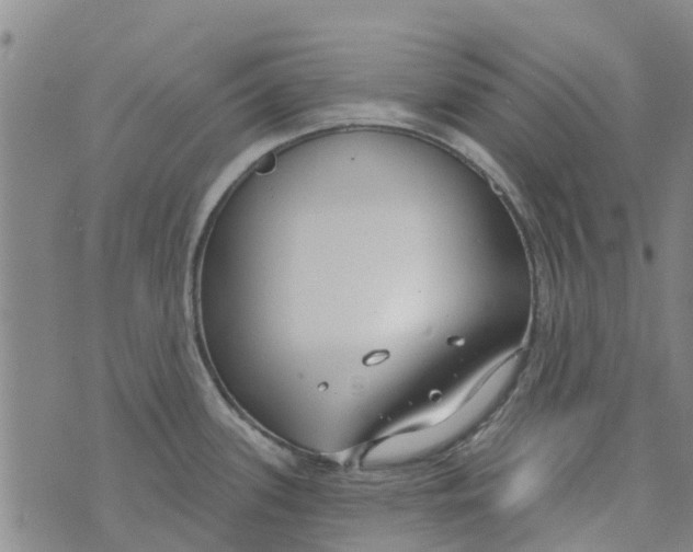 X0000073931339200609082253