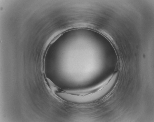 X0000073931342200609082253