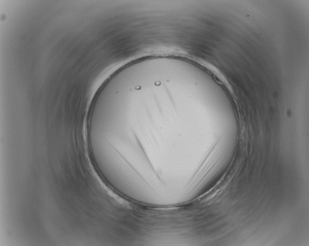 X0000073931343200609082253