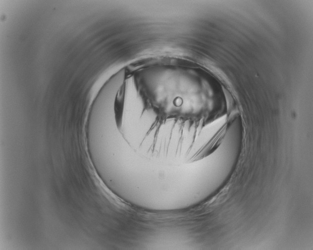 X0000073931344200609082253