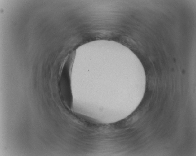 X0000073931345200609082253