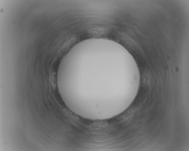 X0000073931346200609082253