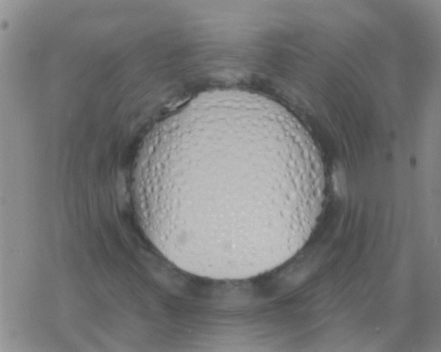 X0000073931347200609082252