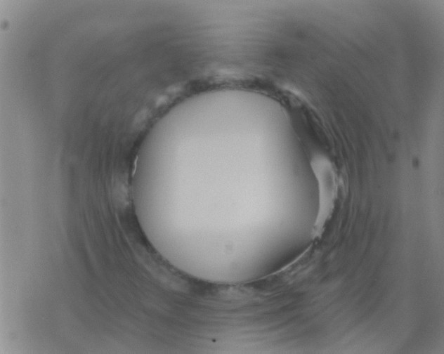 X0000073931348200609082252