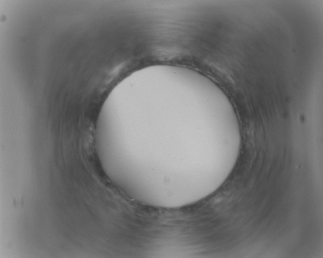 X0000073931349200609082252