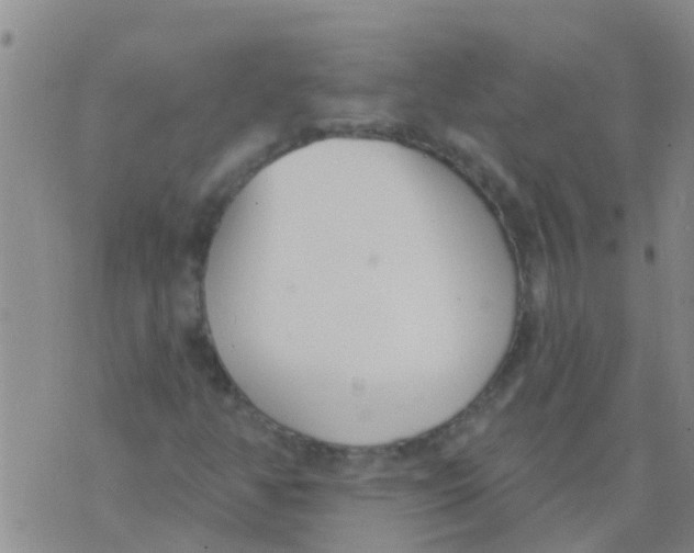 X0000073931350200609082252