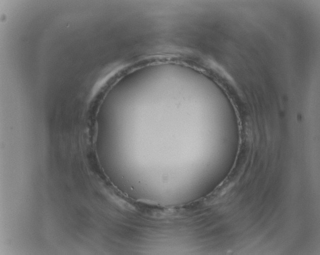 X0000073931352200609082252