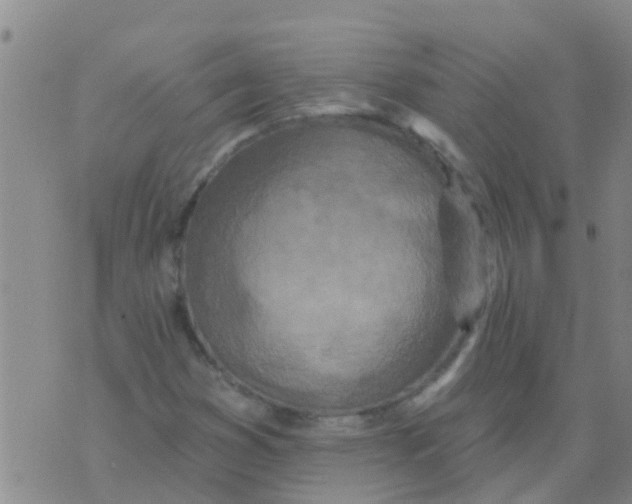 X0000073931353200609082252