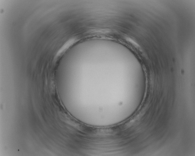 X0000073931354200609082252