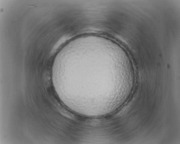 X0000073931355200609082252