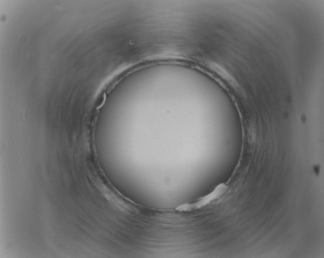 X0000073931356200609082252