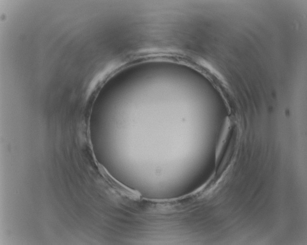 X0000073931357200609082252