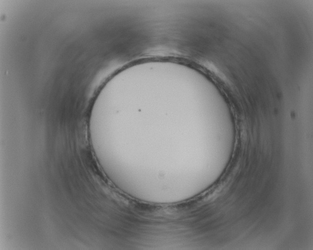 X0000073931358200609082252