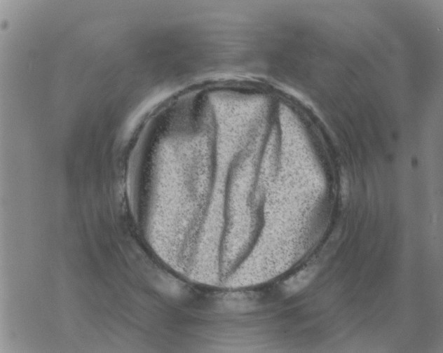 X0000073931359200609082252