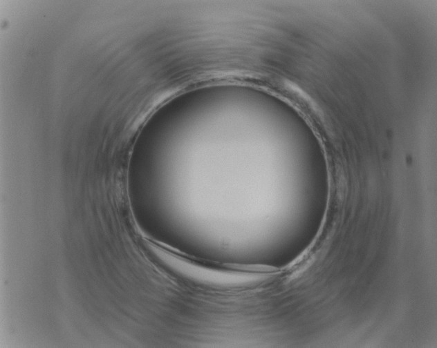 X0000073931361200609082252