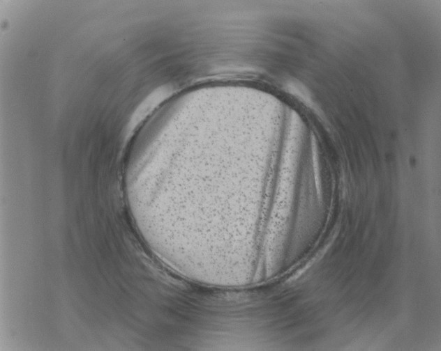 X0000073931362200609082252