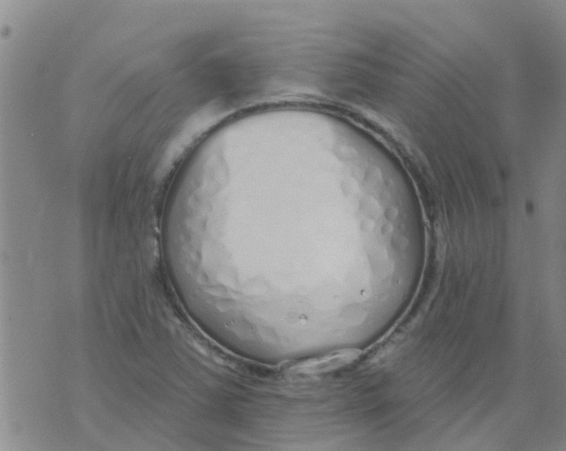 X0000073931363200609082252