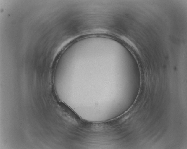 X0000073931364200609082252