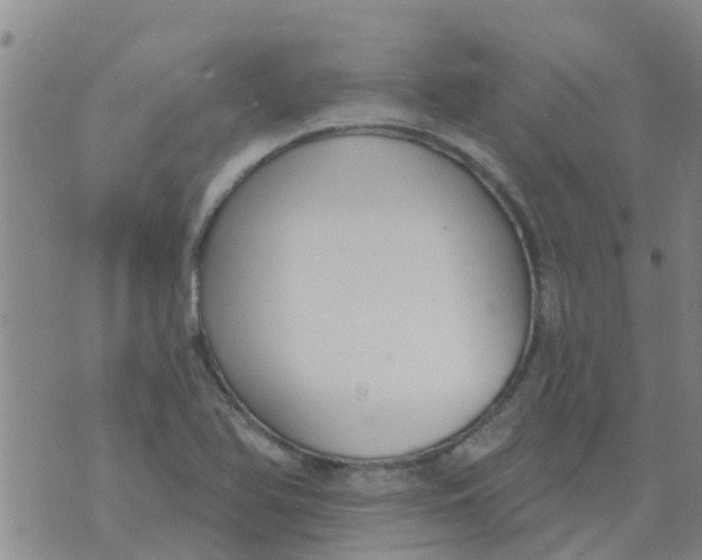 X0000073931366200609082252