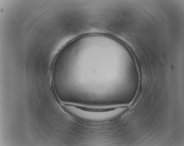 X0000073931367200609082252