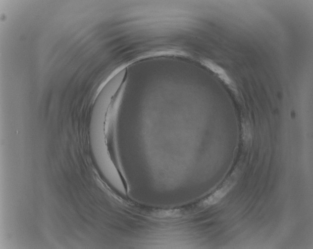 X0000073931369200609082252