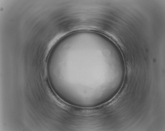 X0000073931371200609082252