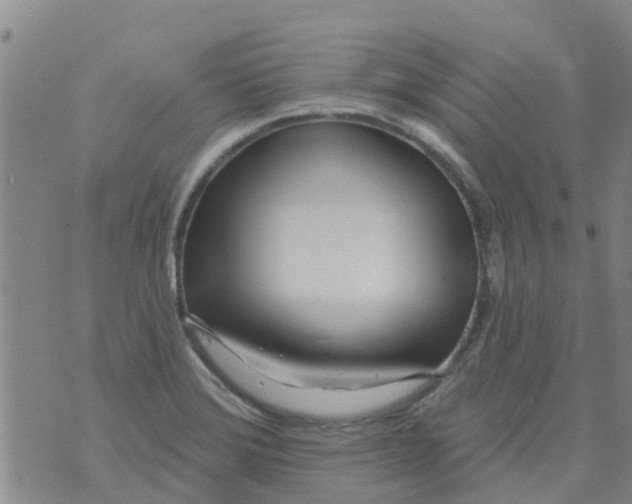 X0000073931372200609082252