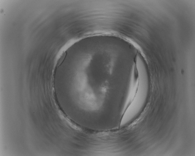 X0000073931373200609082252