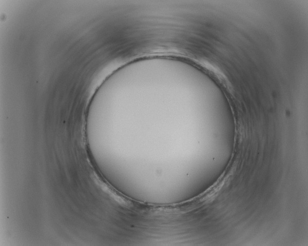 X0000073931374200609082252