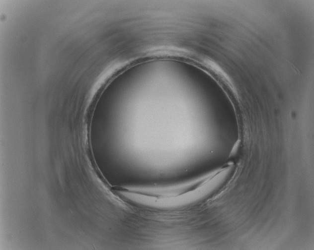 X0000073931376200609082252