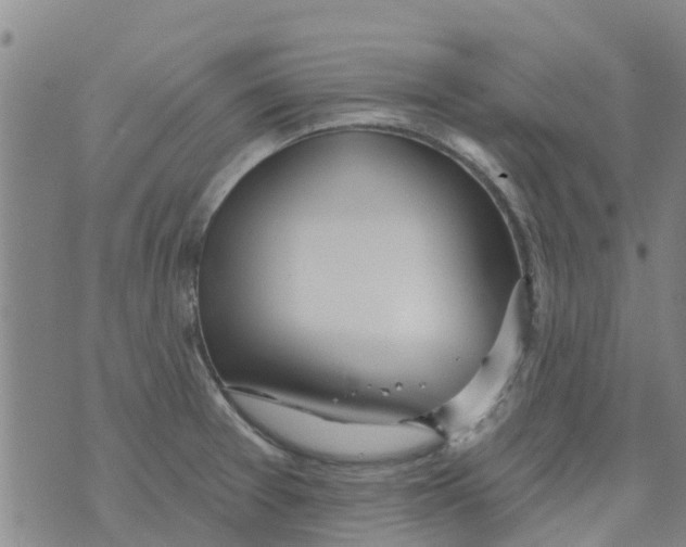 X0000073931377200609082252