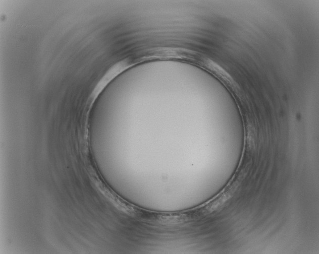 X0000073931378200609082252