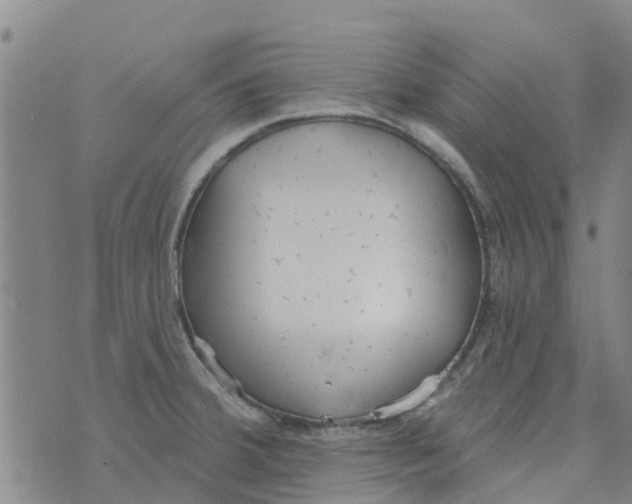 X0000073931380200609082252