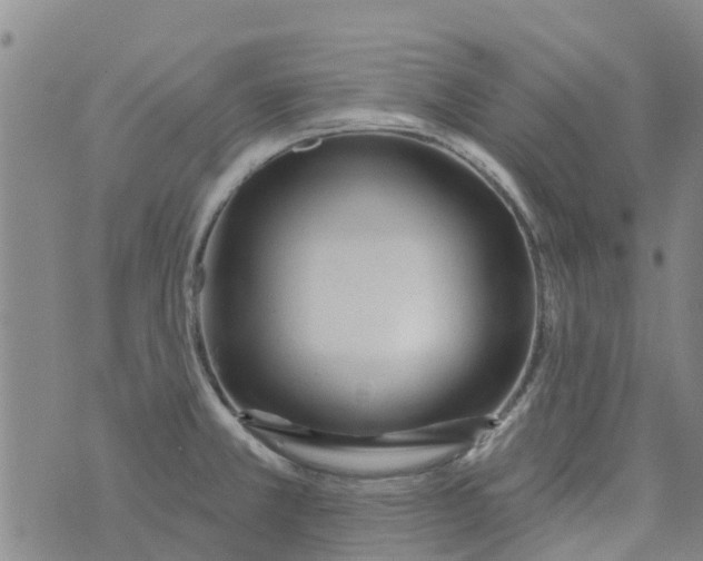 X0000073931381200609082252