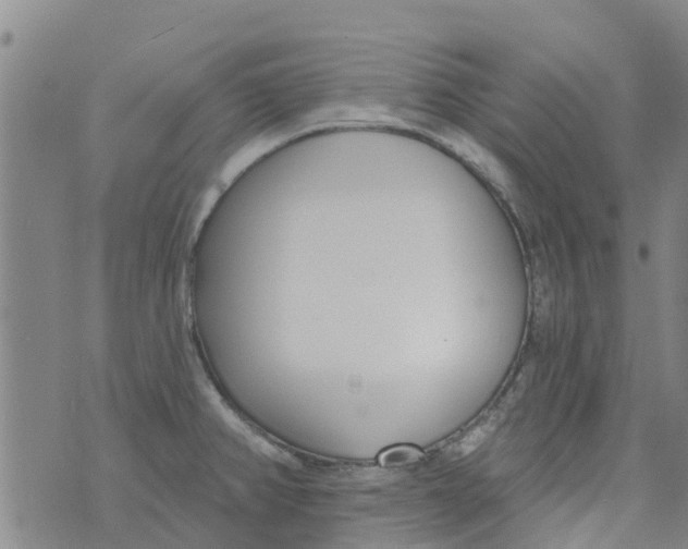 X0000073931382200609082252