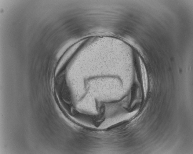 X0000073931383200609082252