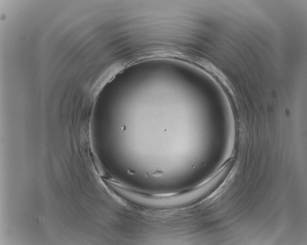 X0000073931385200609082252