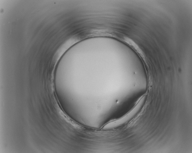 X0000073931386200609082252