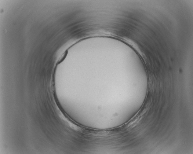 X0000073931387200609082252