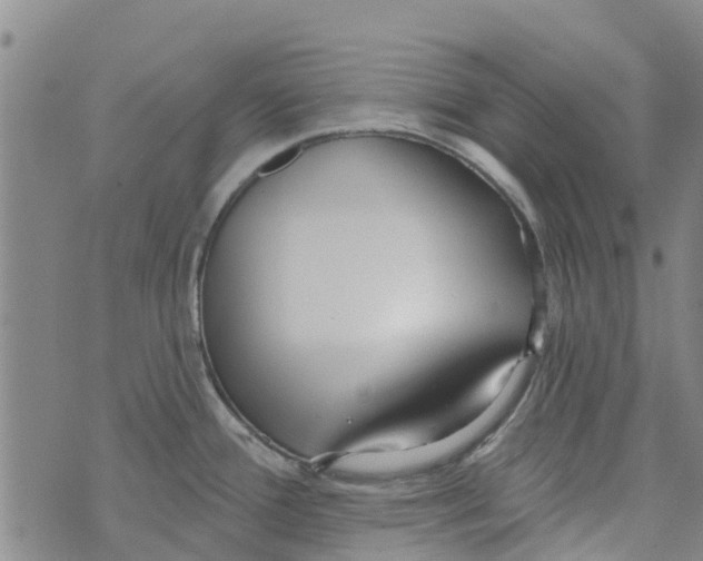 X0000073931388200609082252