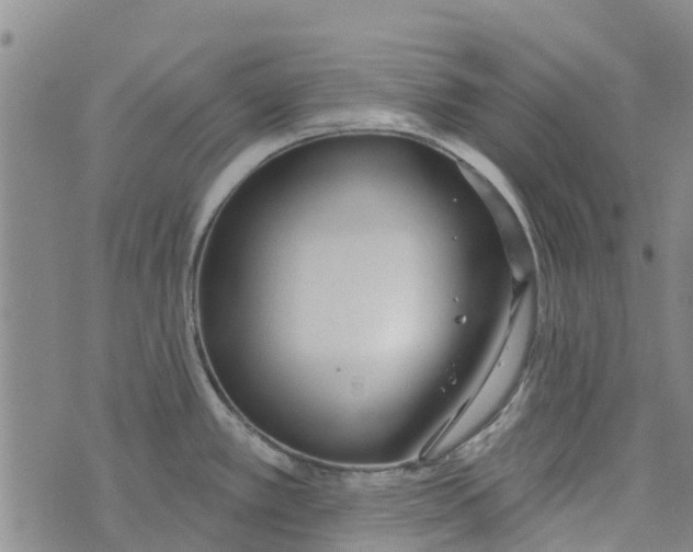 X0000073931389200609082252