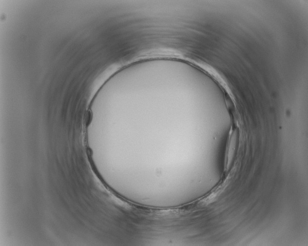 X0000073931390200609082252