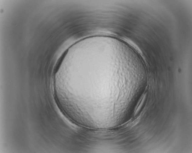 X0000073931391200609082252