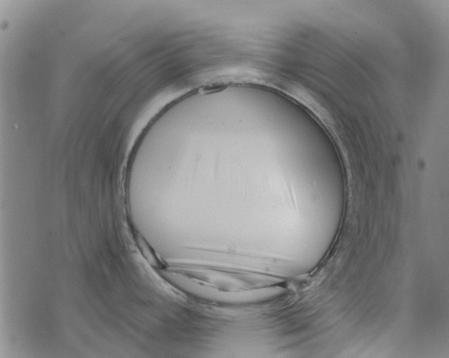 X0000073931392200609082252