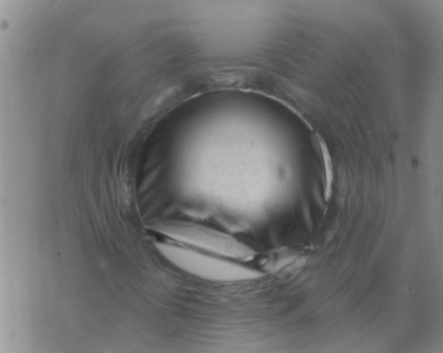 X0000073931394200609082251